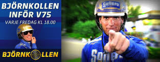 Bj&ouml;rnkollen